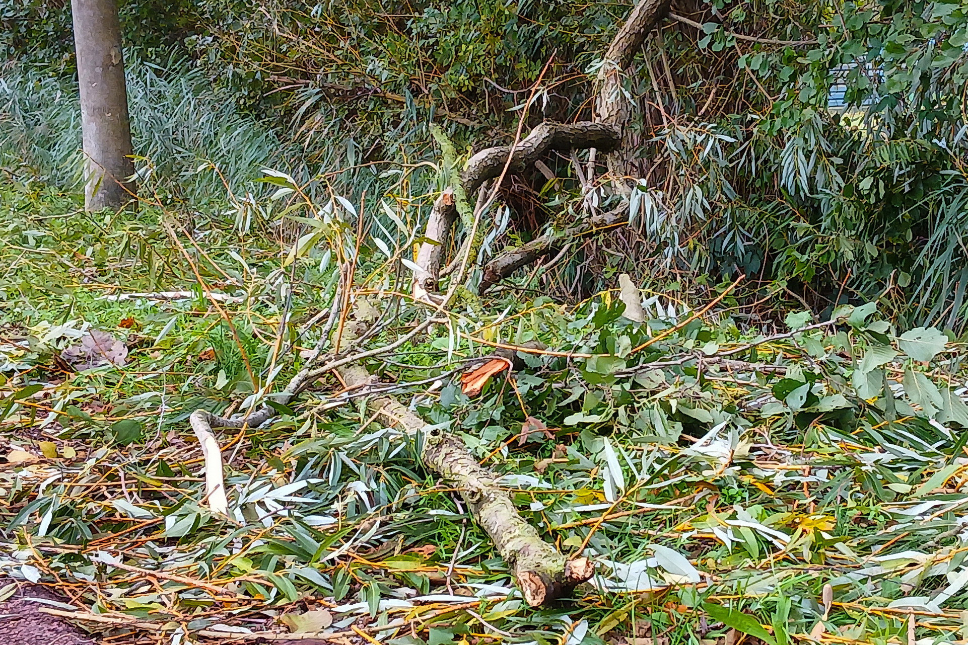 26102402stormschadegd