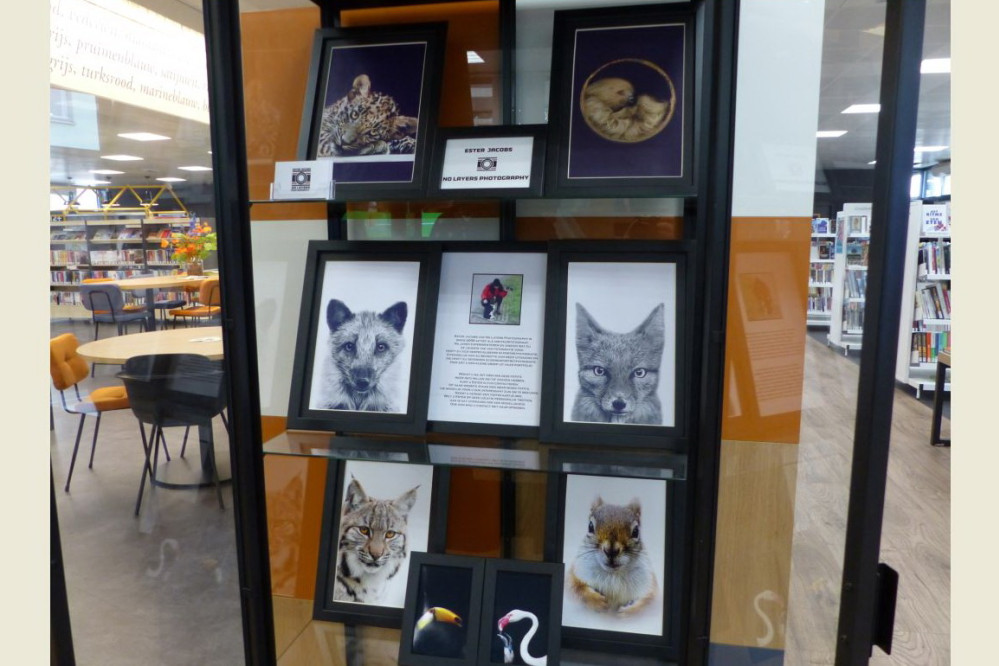 26102701expositienolayersaws