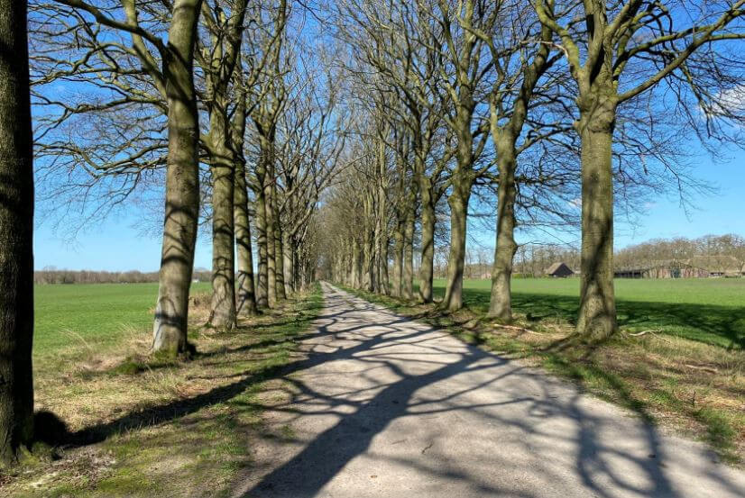 26040502trippelenberggdb