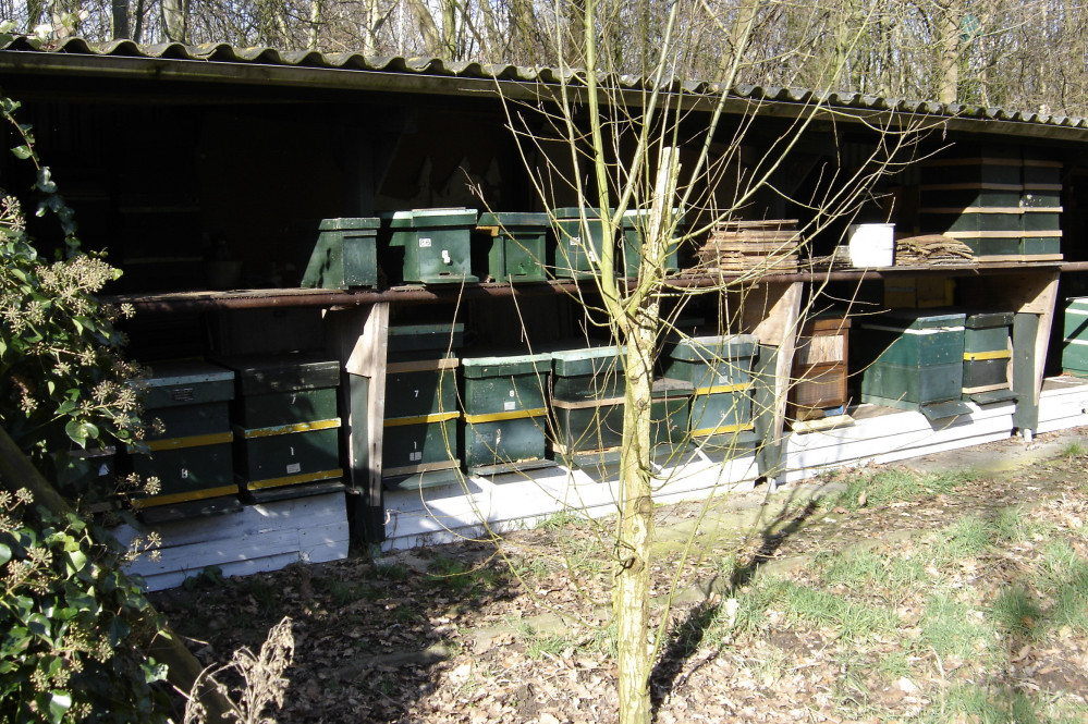 25042901bijenstal