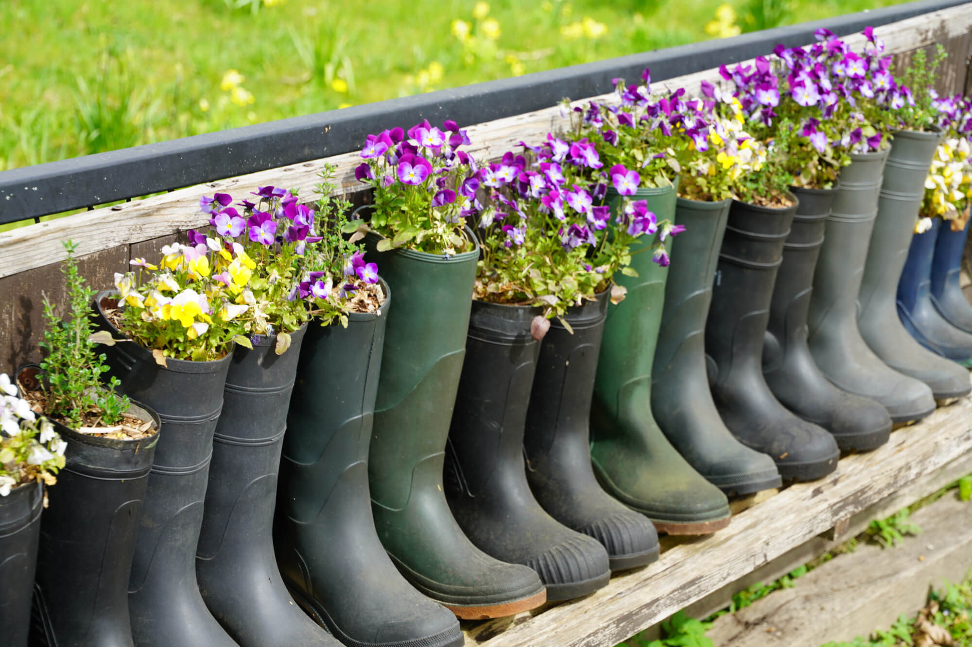 26041202laarsviolengd