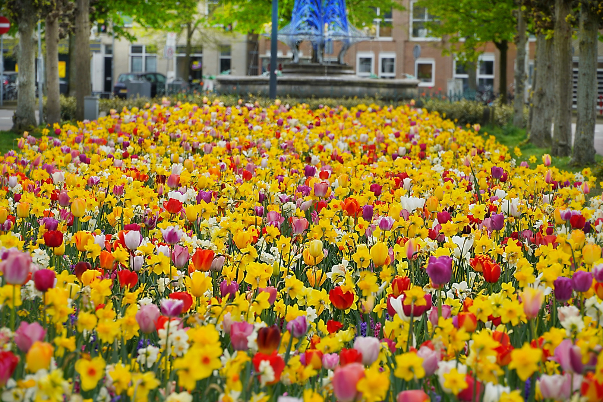 26041902bredasebollen