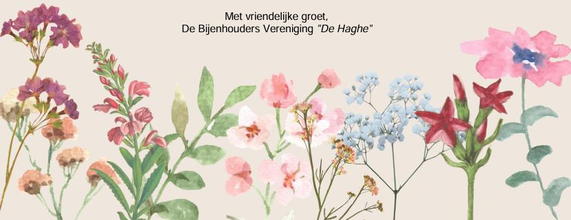 25042901bijen4