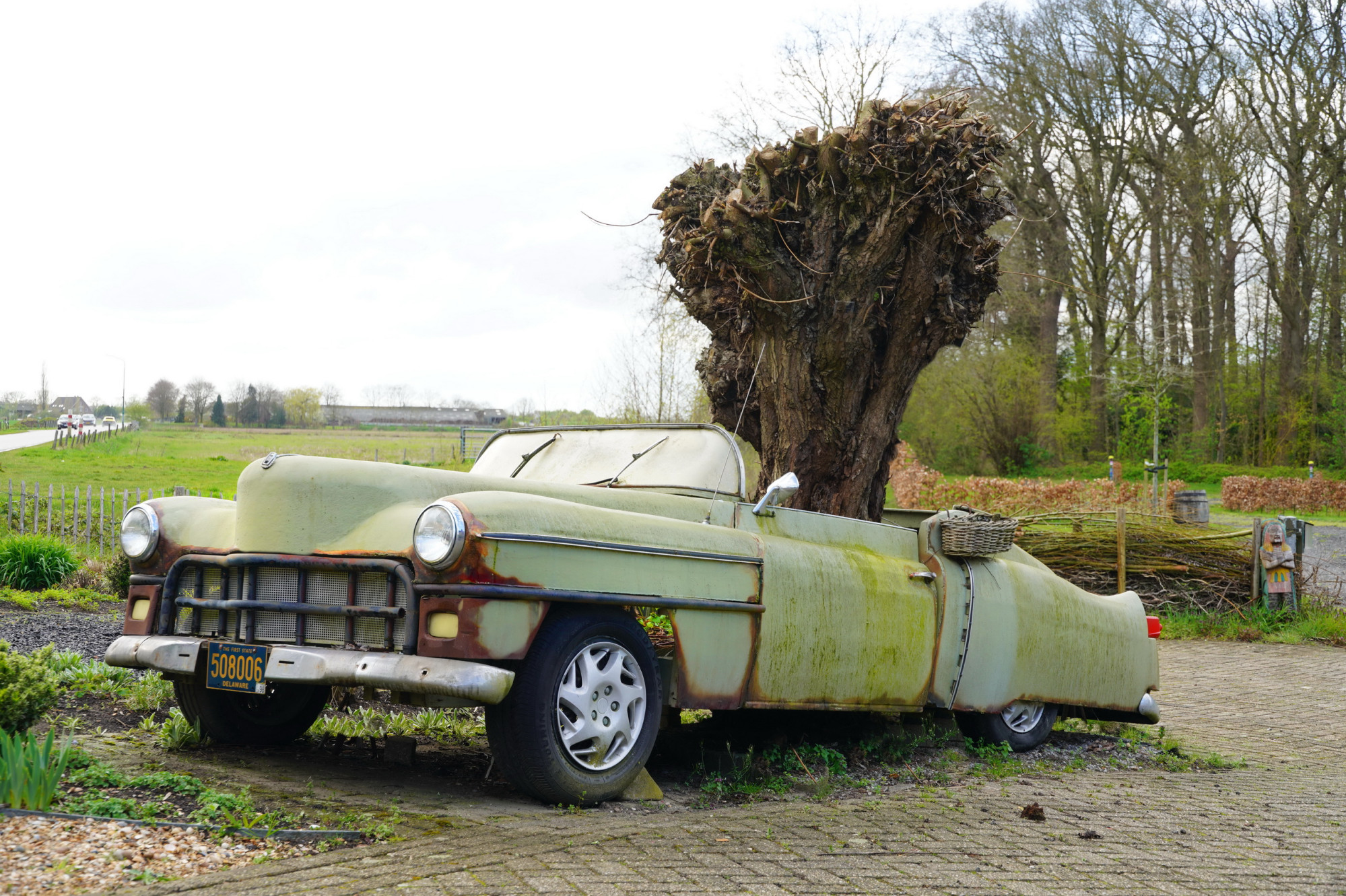 26042102degekooideknotwilg