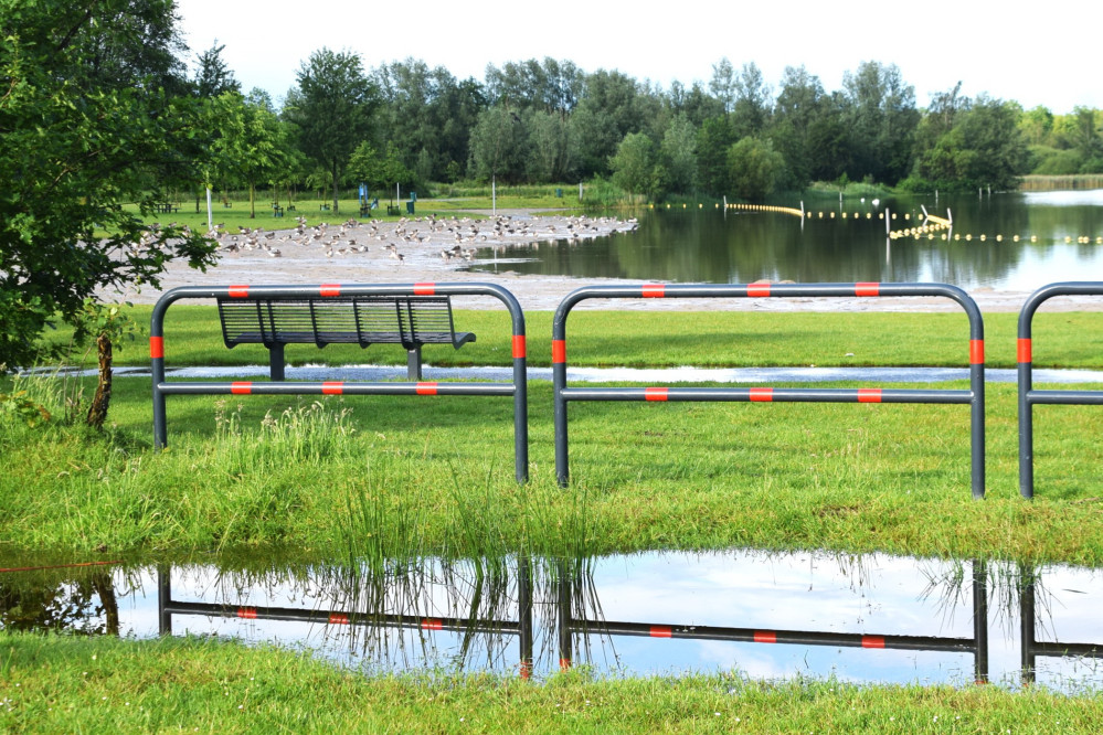 25070803kiekcompositiemetganzenpg