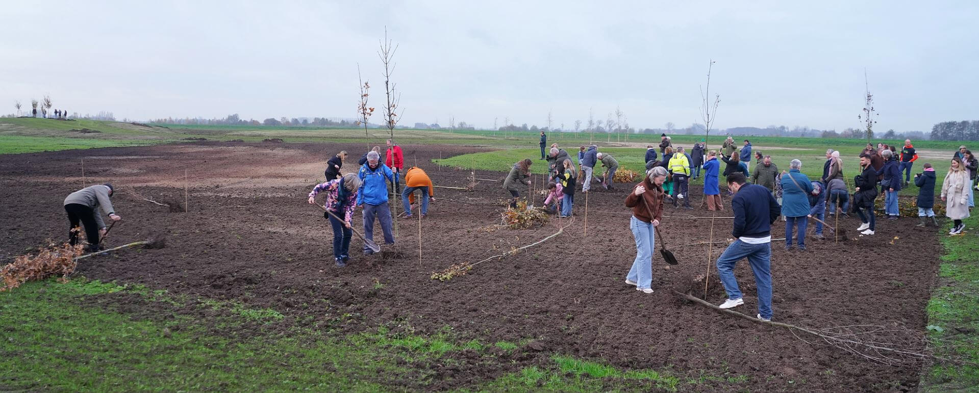 24111401levensbos3