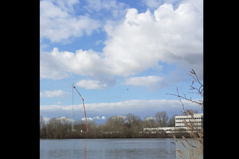 25031603kiekopgrotehoogte