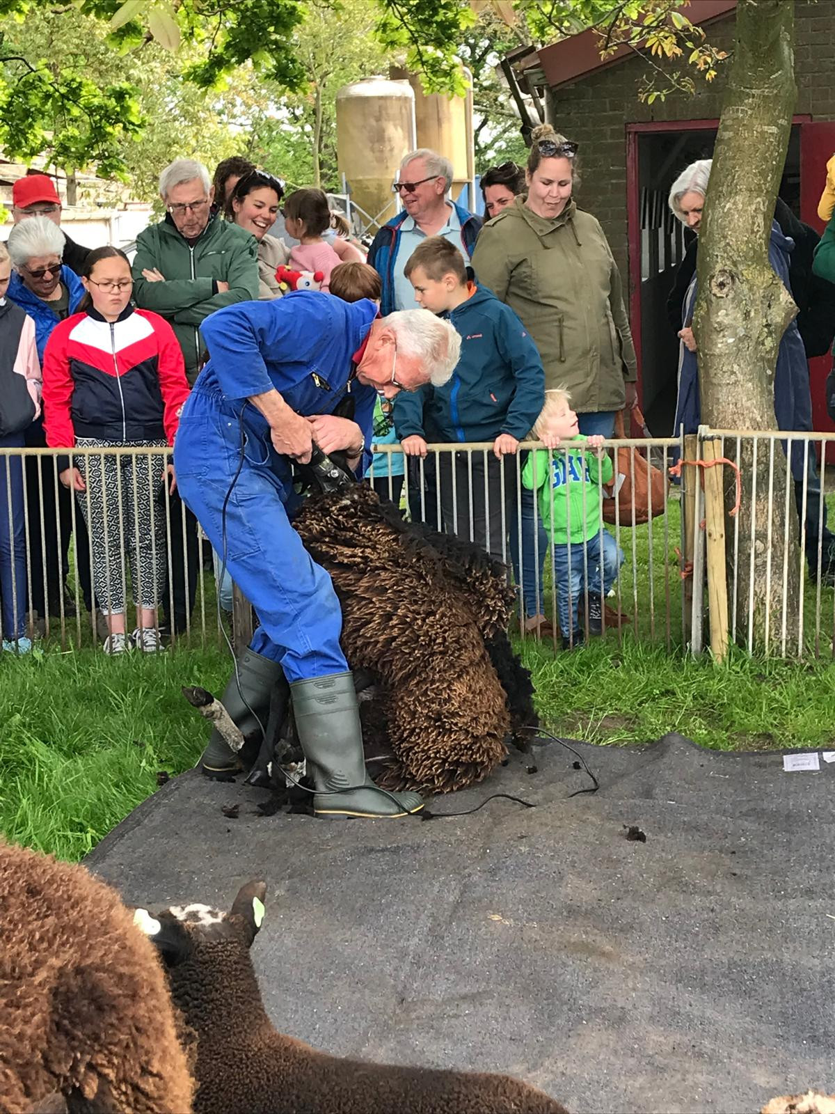 26052502derijfoudeambachten