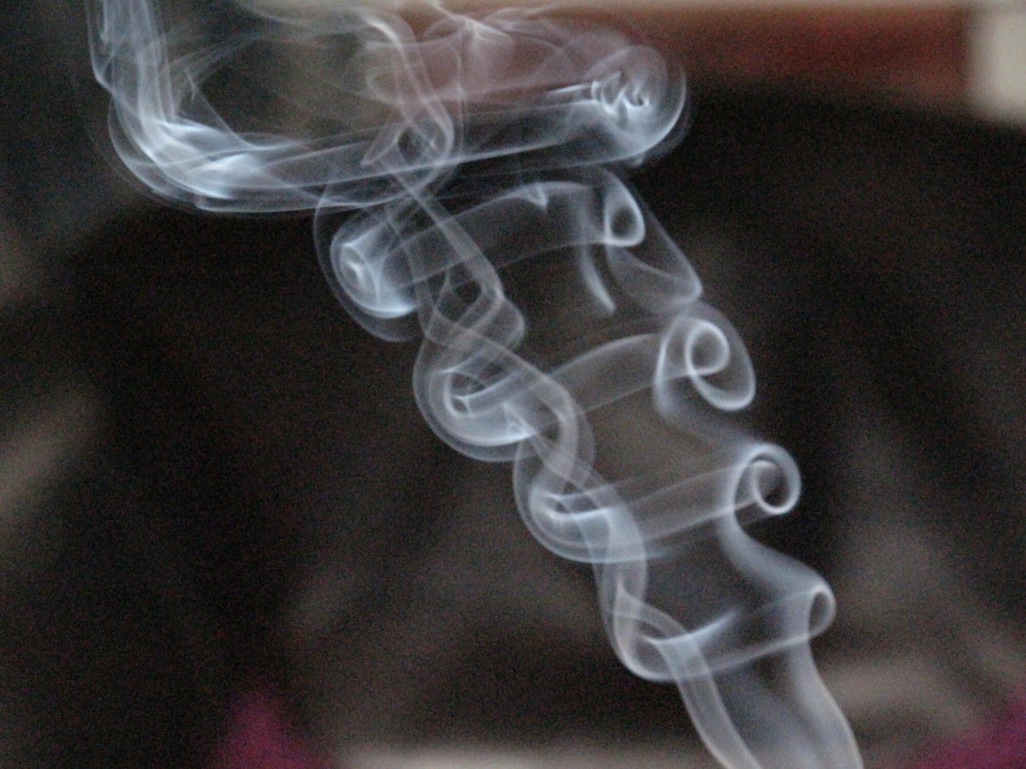 26040102rookkringels2adv