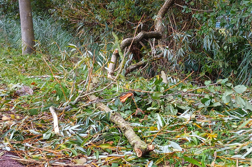 26102402stormschadegd