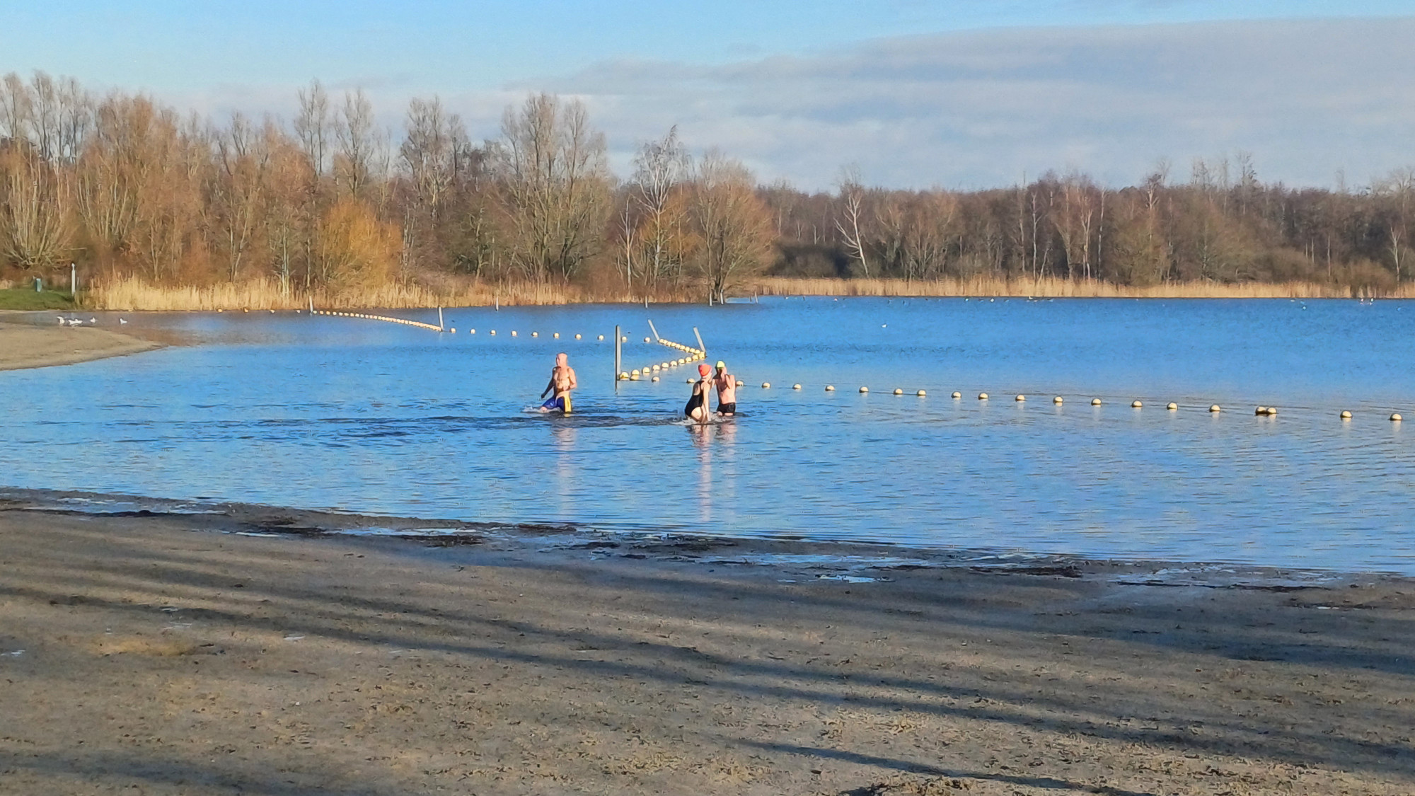 25011401nieuwjaarsduik3jr
