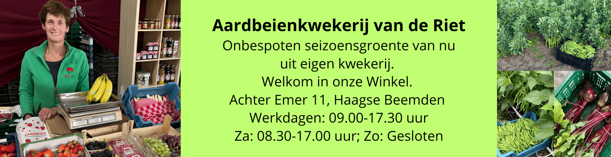 aarbeienkwekerijvanderiettuinbonen