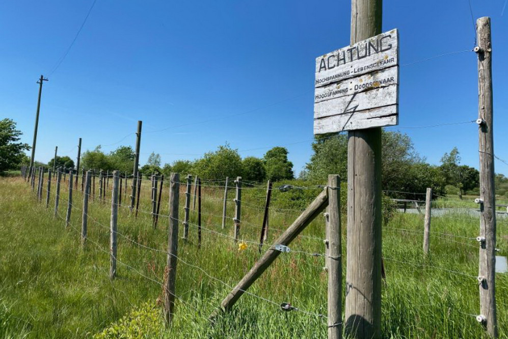 26063001fietstochtdodendraad