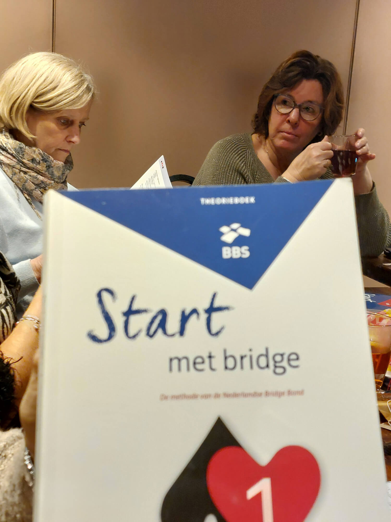 25012602bridge2