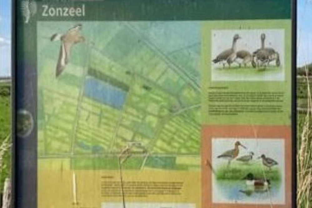 26051601zonzeelgdb