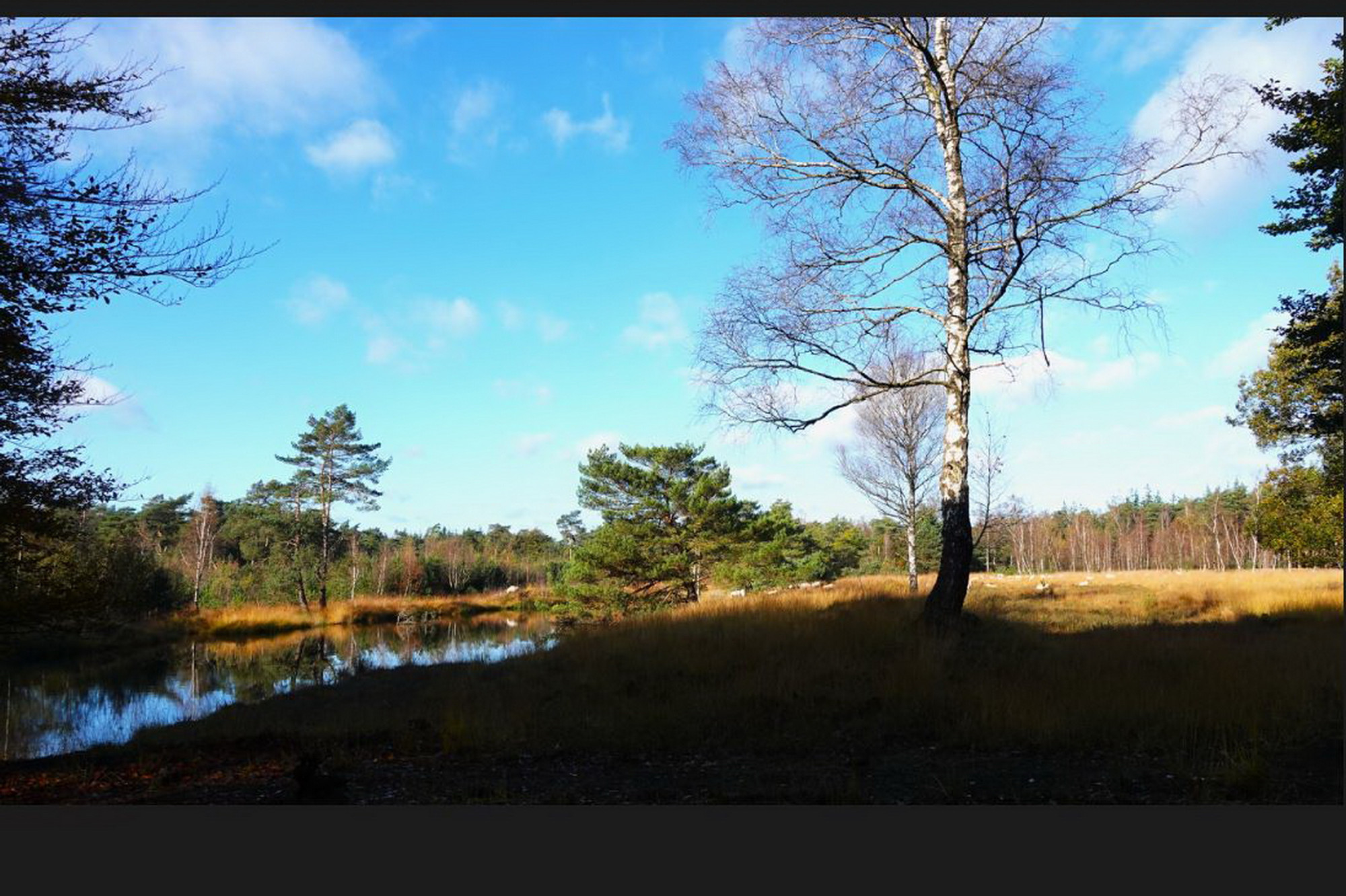 26051502ivnlandschapswandeling