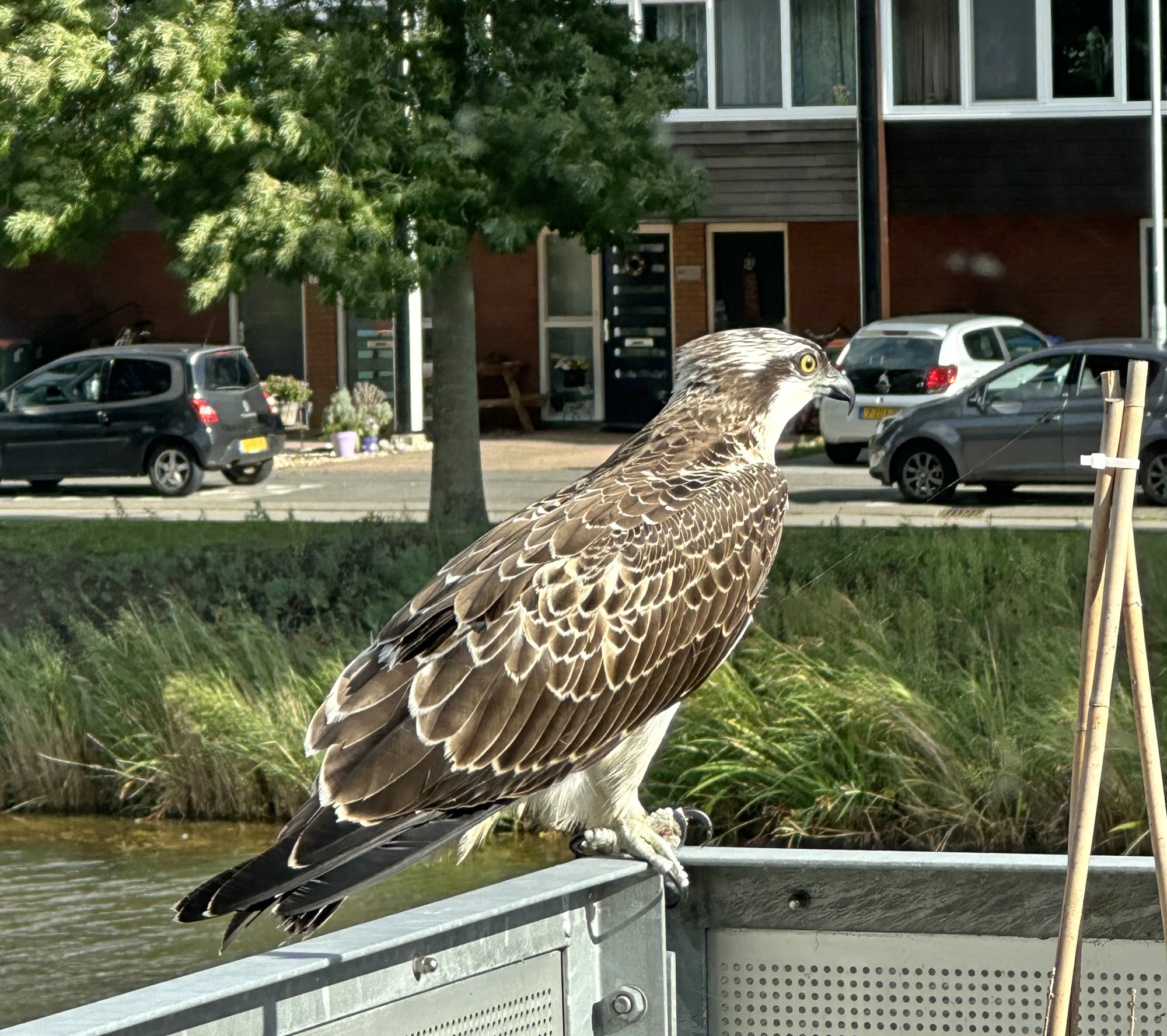 25022802visarend4