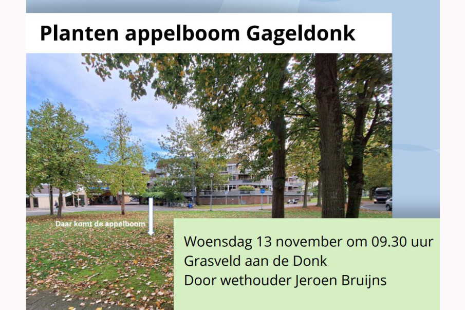 24111203appelboom