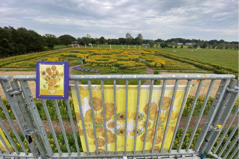 26052501vincentvangoghgdb