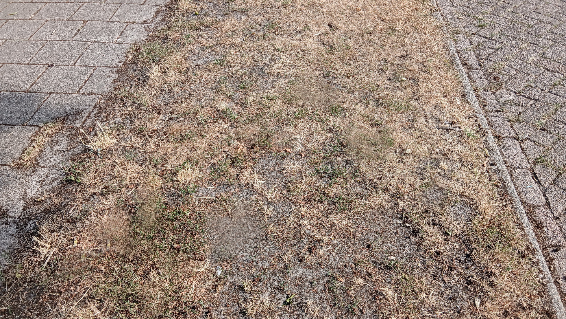 26082602droogte2gd