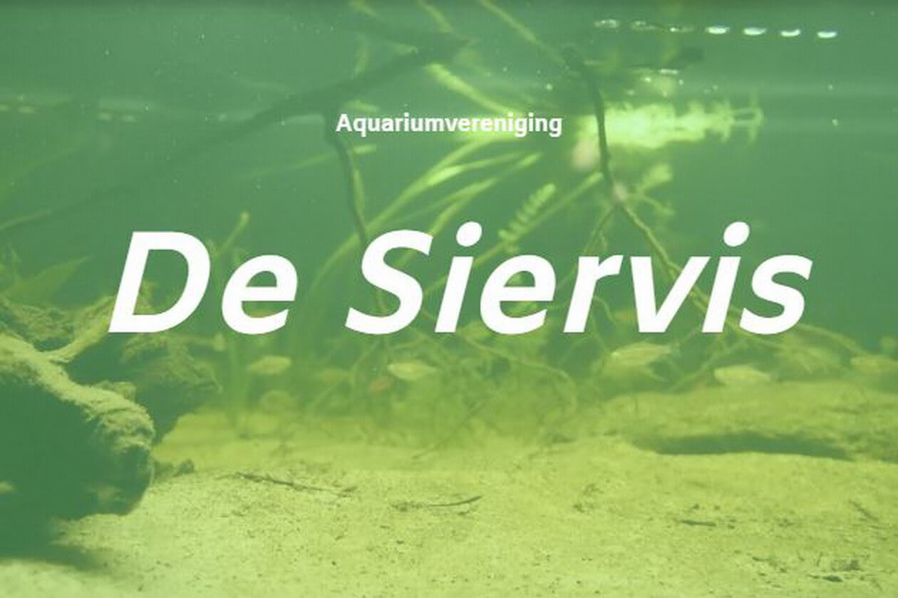 26090402desiervis