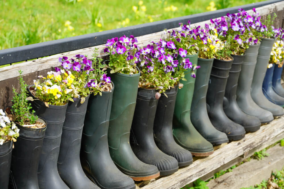 26041202laarsviolengd