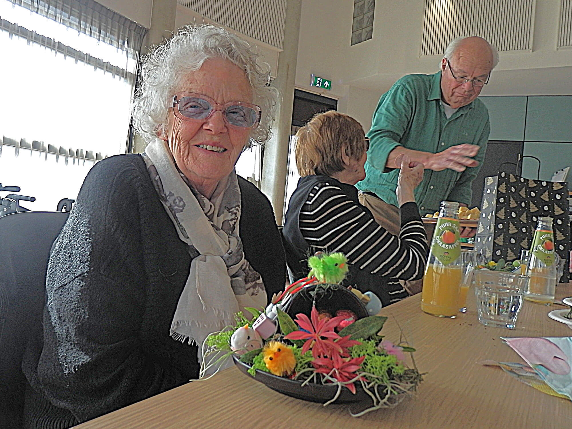 26040201zonnebloem3-heleen