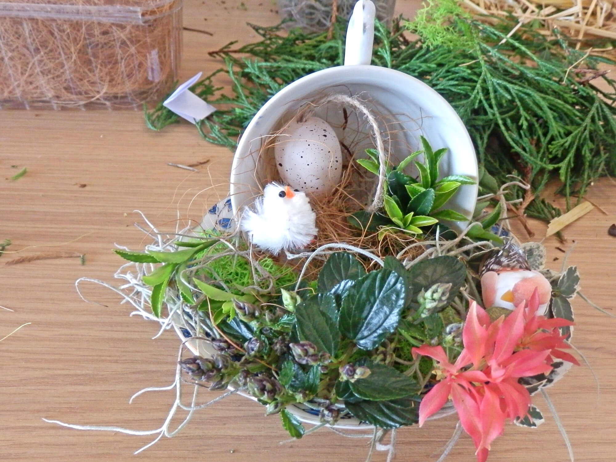 26040201zonnebloem5
