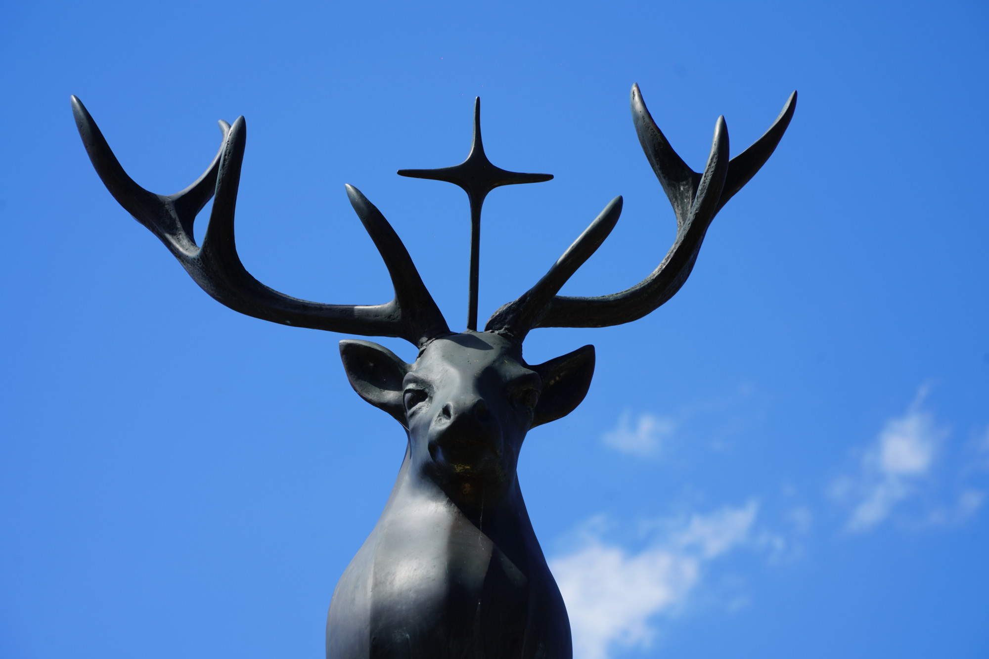 25110303hubkesdagsainthuberttlouisnoelrotondegd